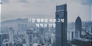 기업 밸류업 프로그램