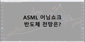 ASML 어닝쇼크