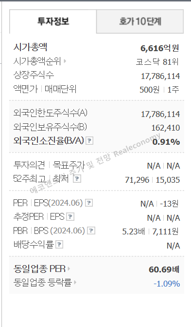 에코앤드림 주가 전망 기업개요