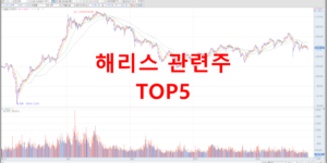 해리스 관련주 TOP5