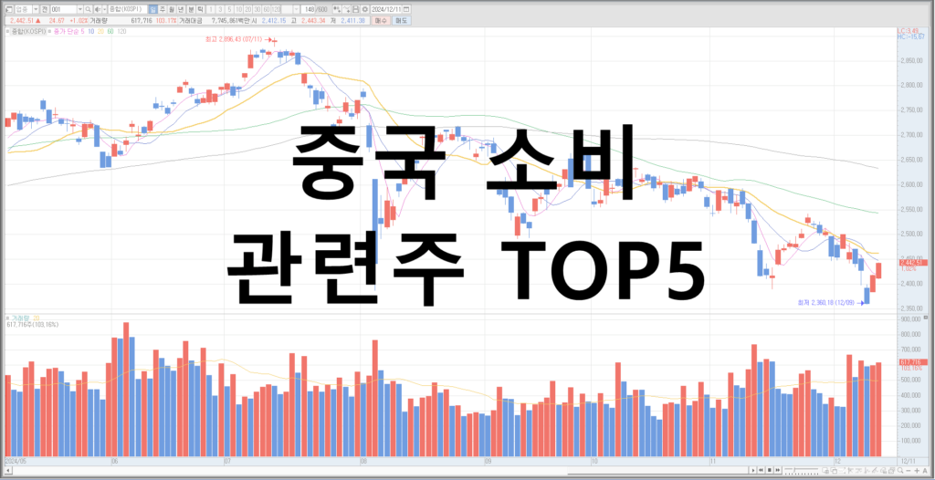 중국 소비 관련주